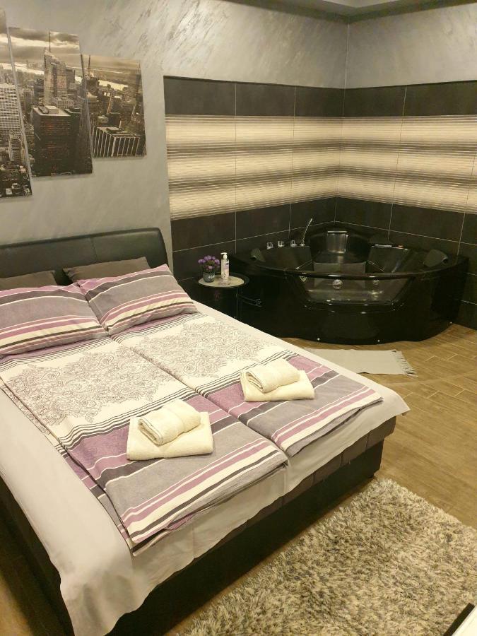 Ceca Apartman Ниш Номер фото